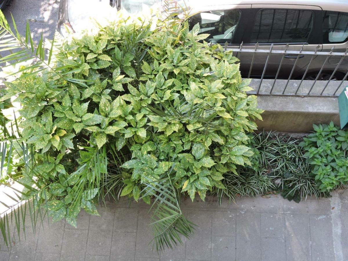 Nice/Nizza : Apartment Bagian luar foto