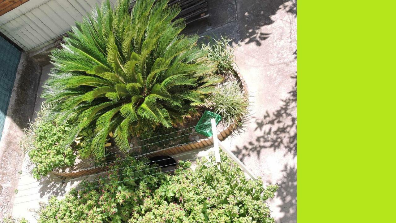 Nice/Nizza : Apartment Bagian luar foto